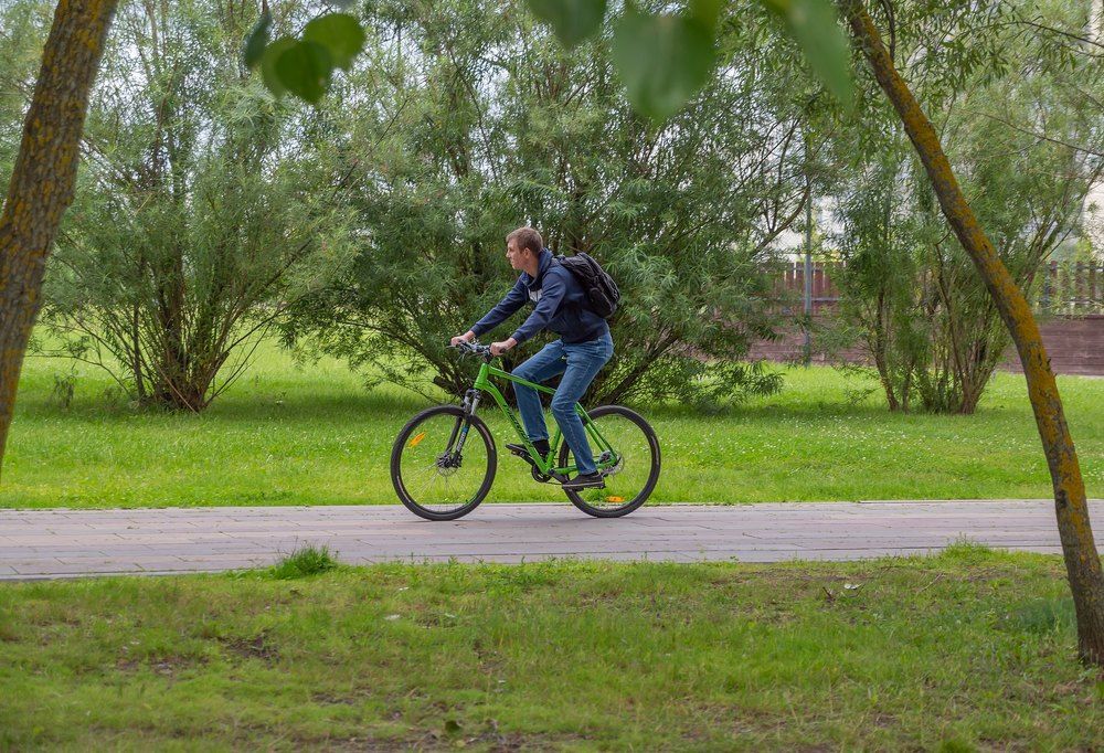 На берегу городского пруда
