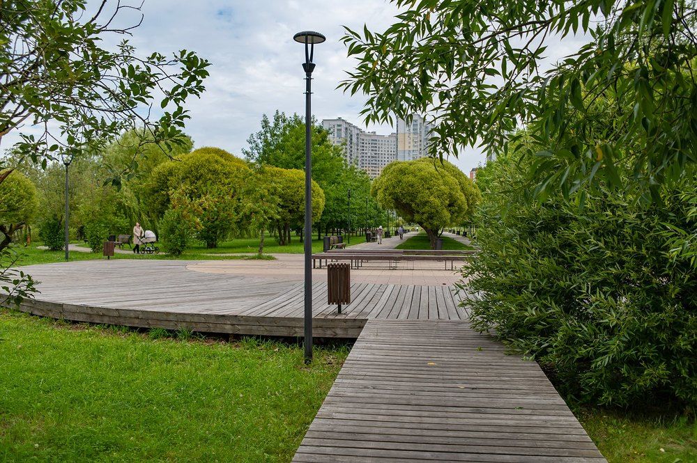 На берегу городского пруда