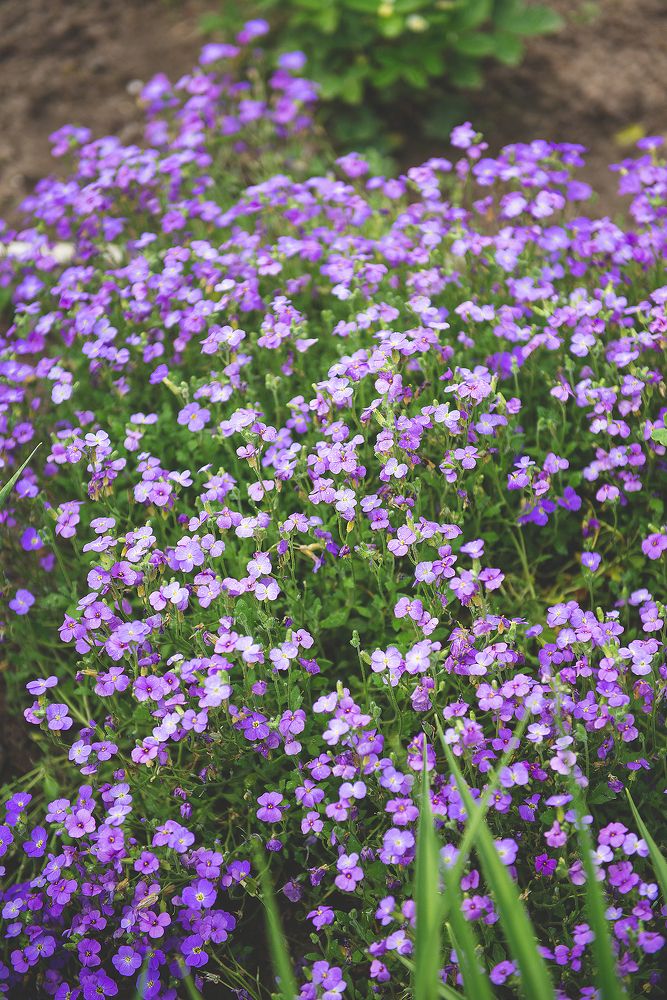 AF-S Nikkor 24-70mm f/2.8g ed