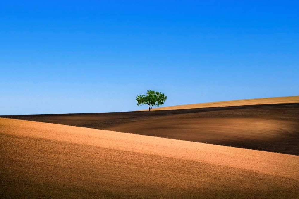 Alone