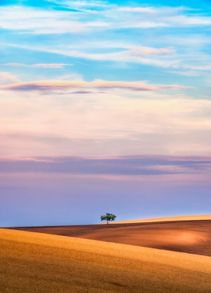 Alone