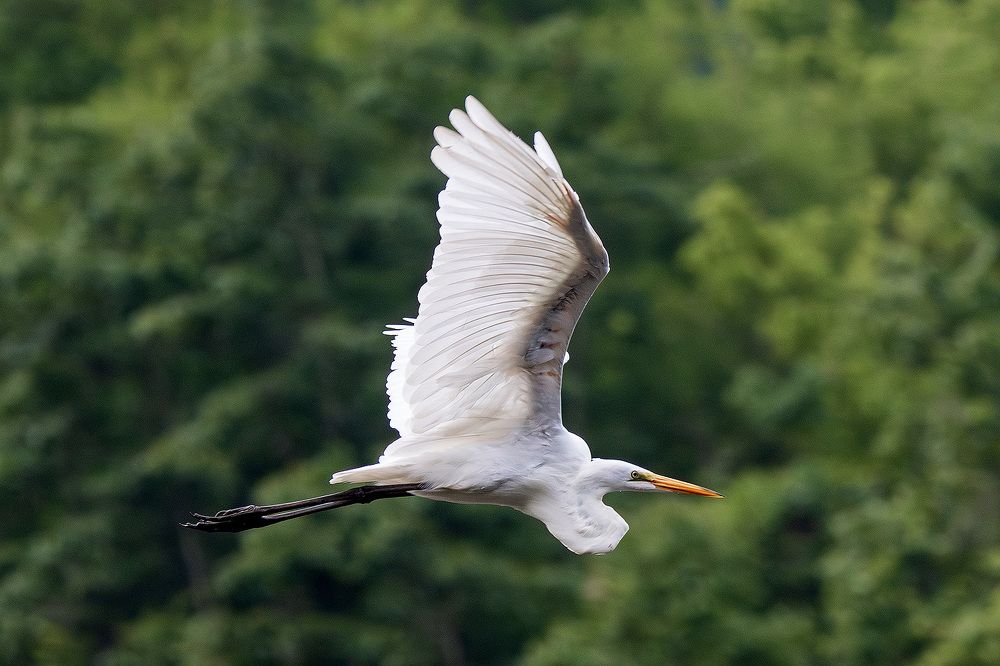 Photo 2446644