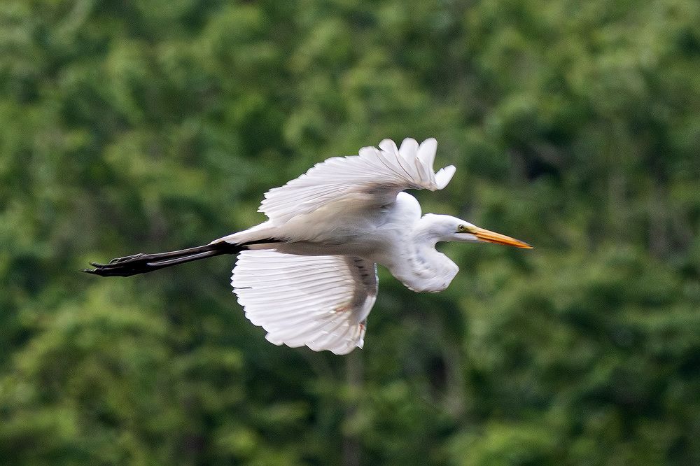 Photo 2446645