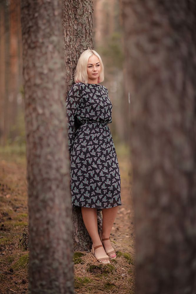 Лесная прогулка