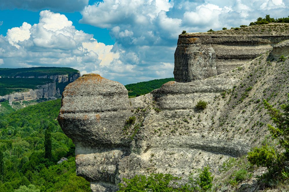 Архитектор природа