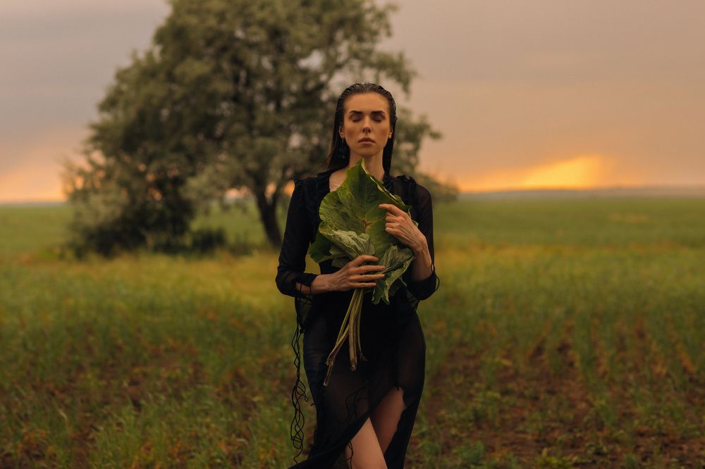 Lera