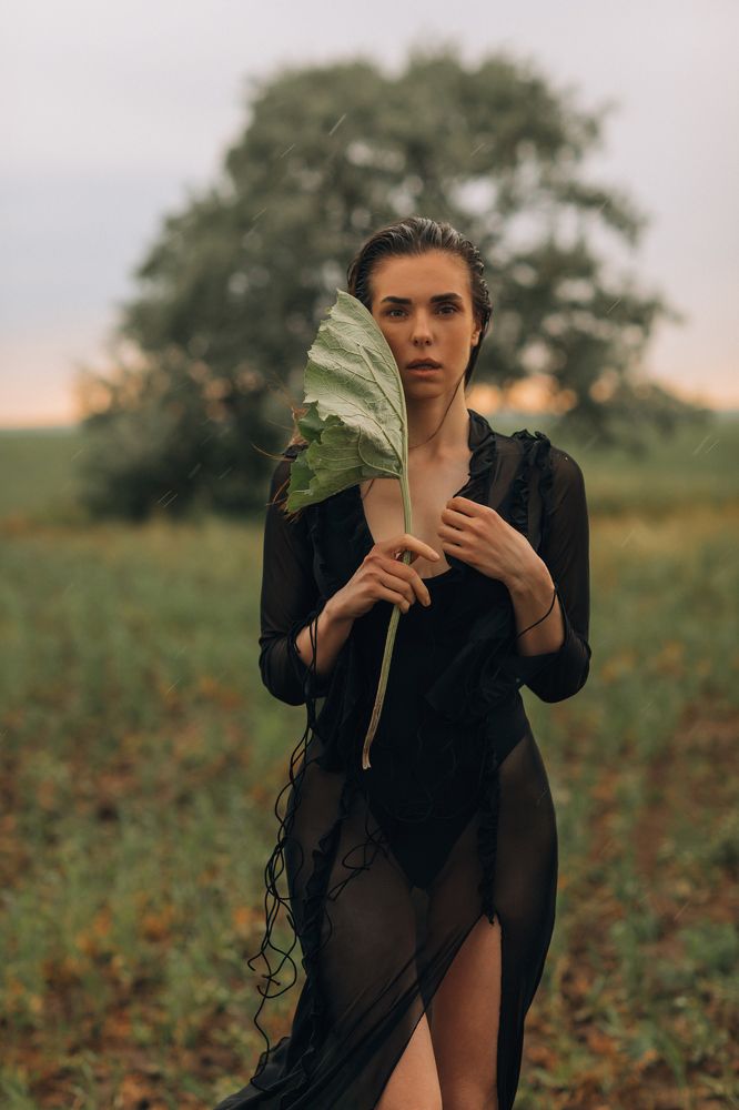 Lera