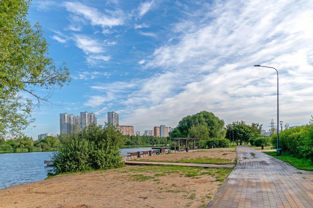 Утром в парке