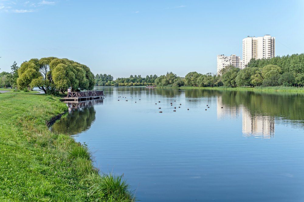 Утром в парке