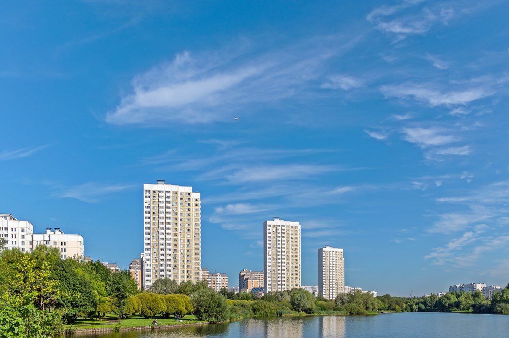 Утром в парке