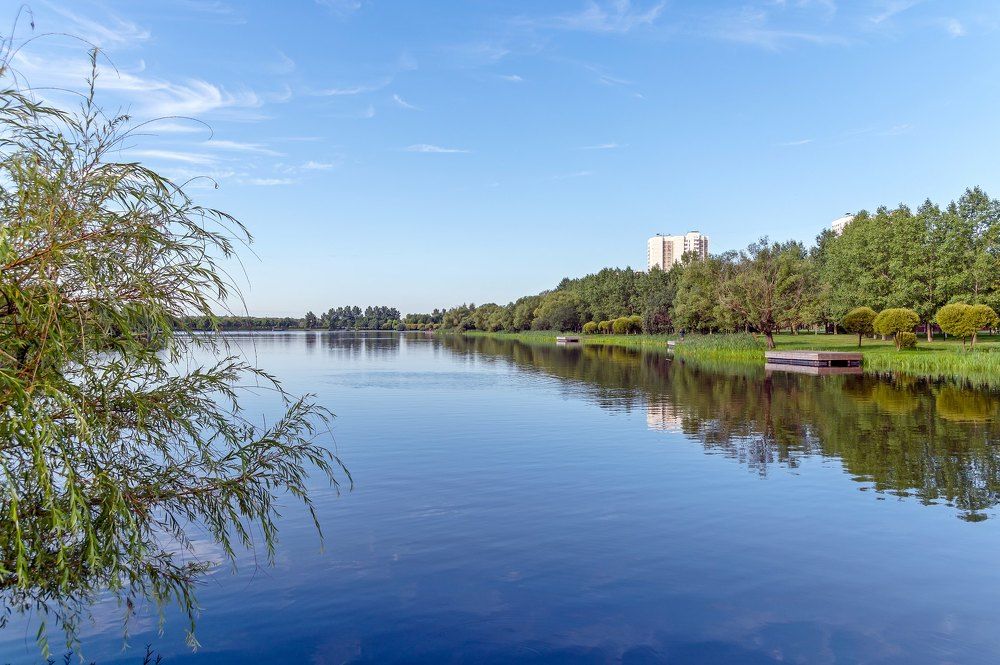 Утром в парке