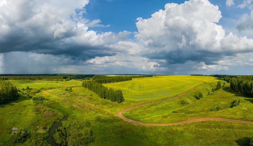Июльские картины полей