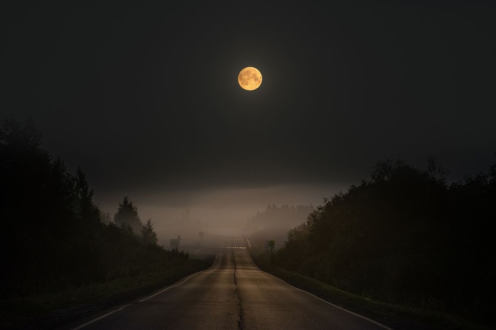 Рыжая Луна и туман