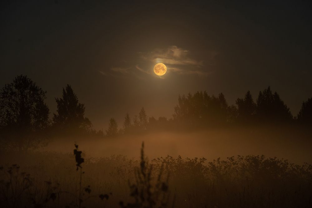 Рыжая Луна и туман