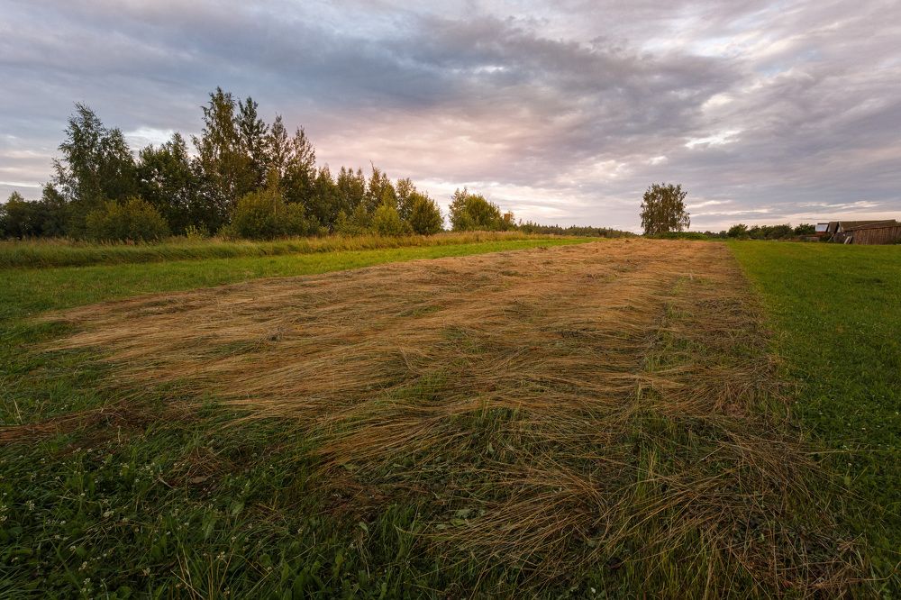 Деревенские зарисовки