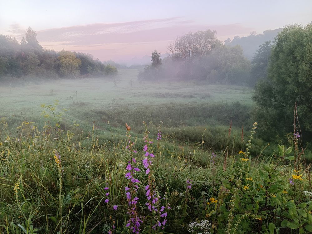 Photo 2450306