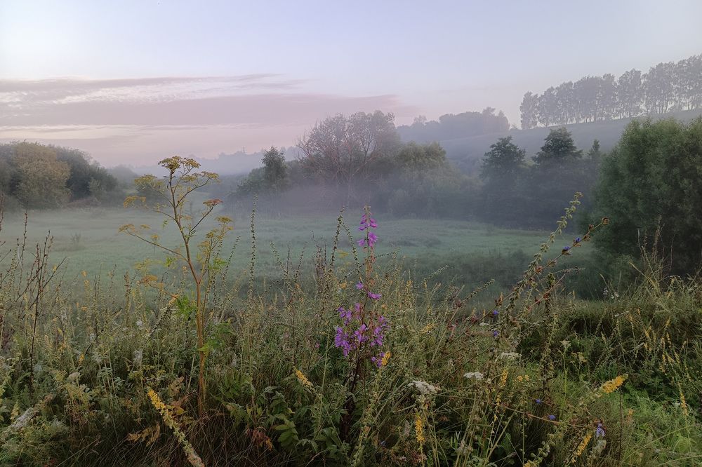 Photo 2450308