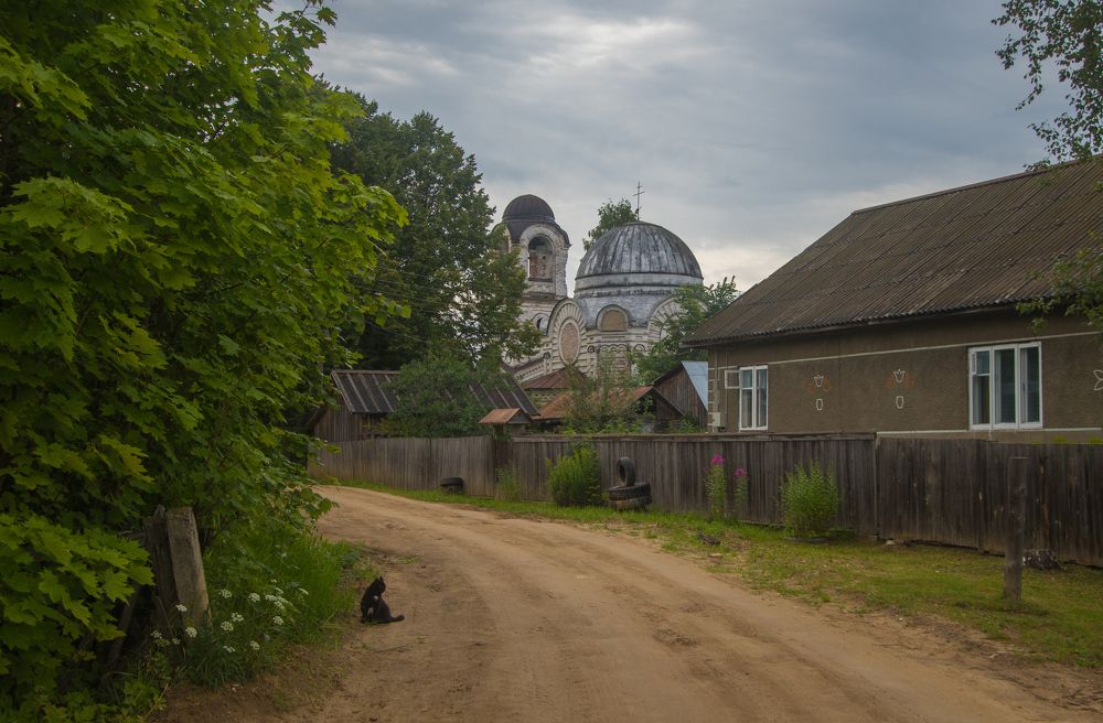 Дождливый день