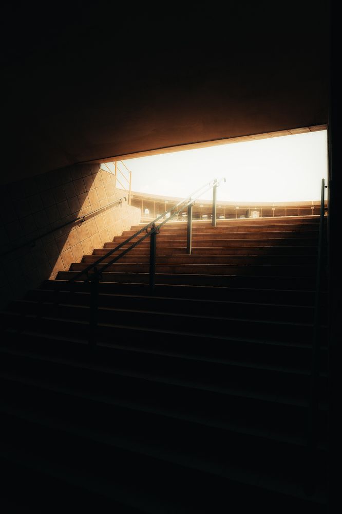 Photo 2452169