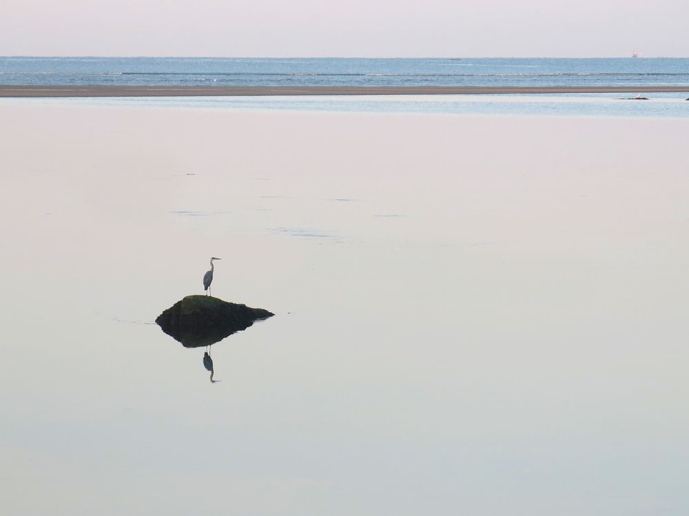 Minimalism 