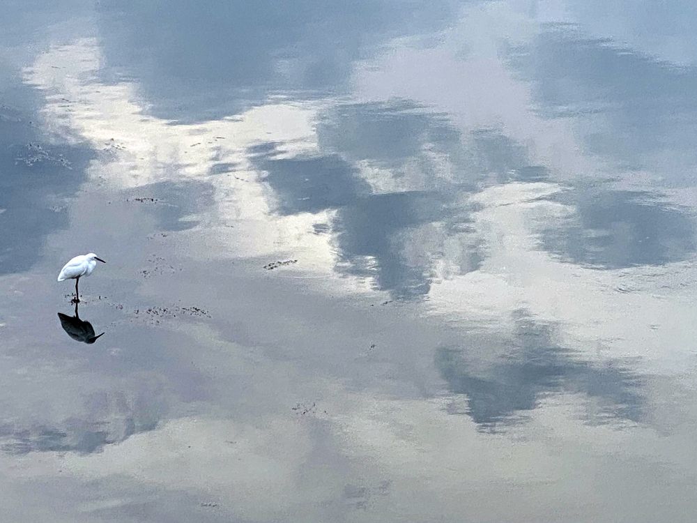 Minimalism 