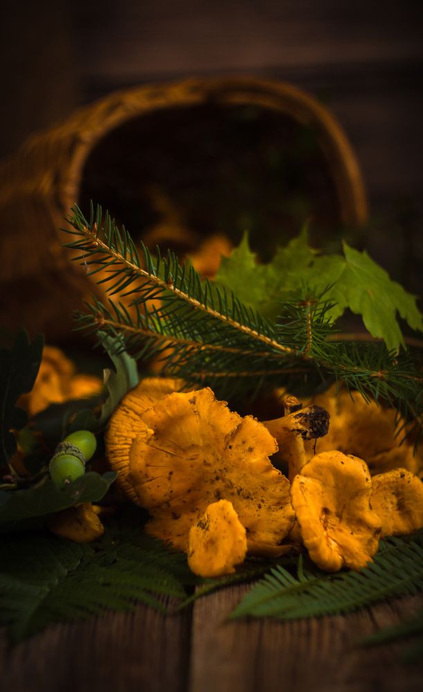 Photo 2453689