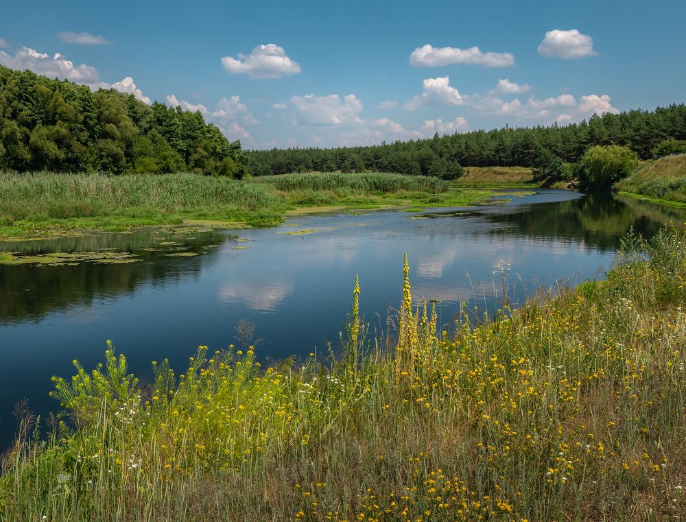 Чернянский район