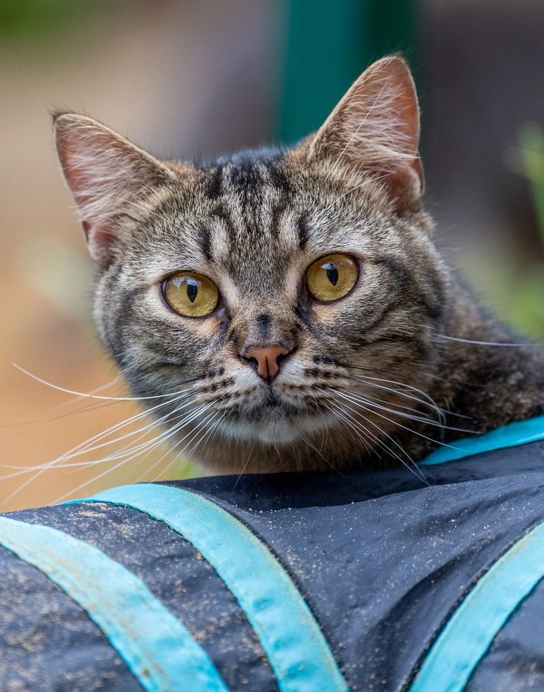 Детдомовцы