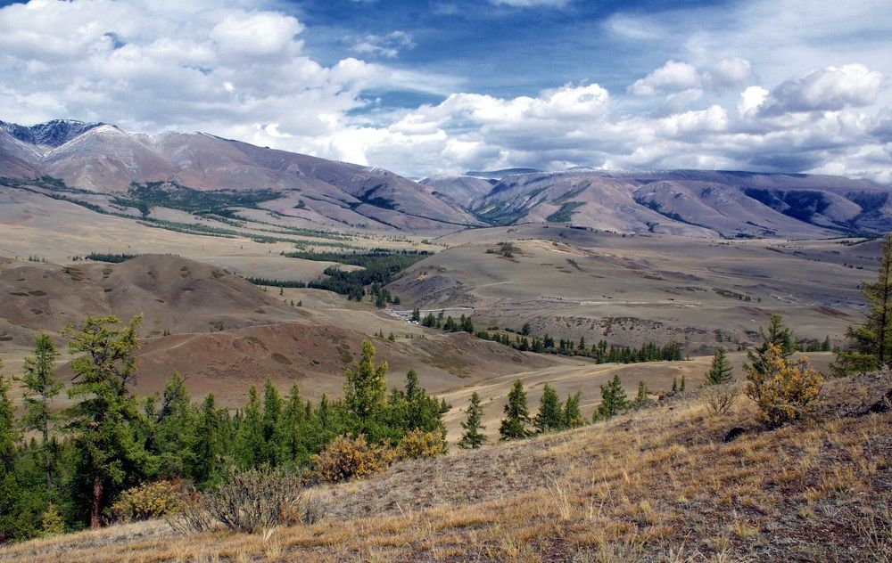 Photo 2454630
