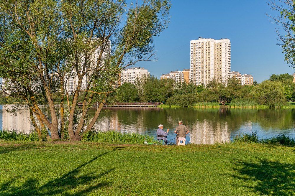 Утро на пруду