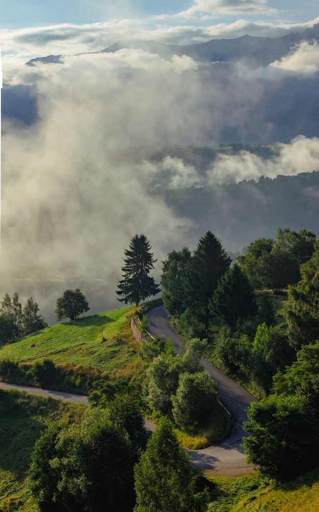 A beautiful foggy morning.
