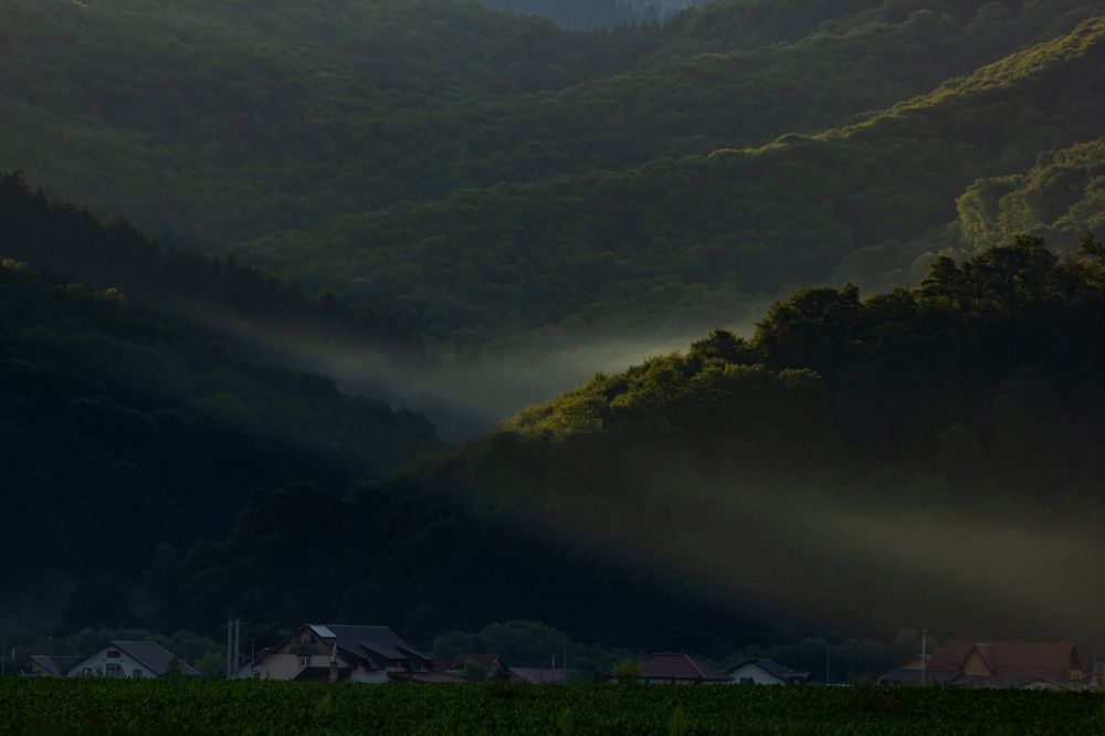 A beautiful foggy morning.