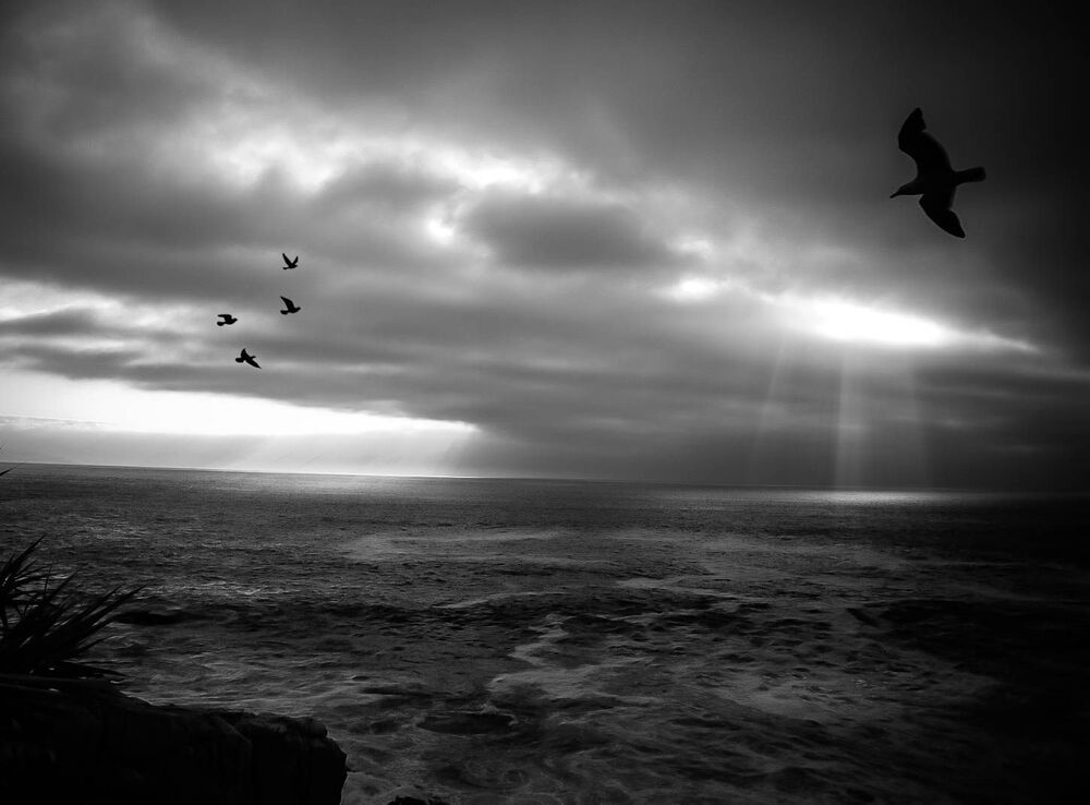 Photo 2455427