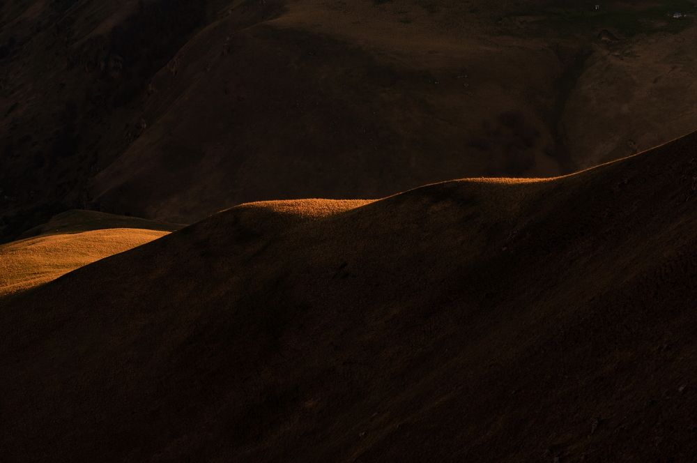 Photo 2456197