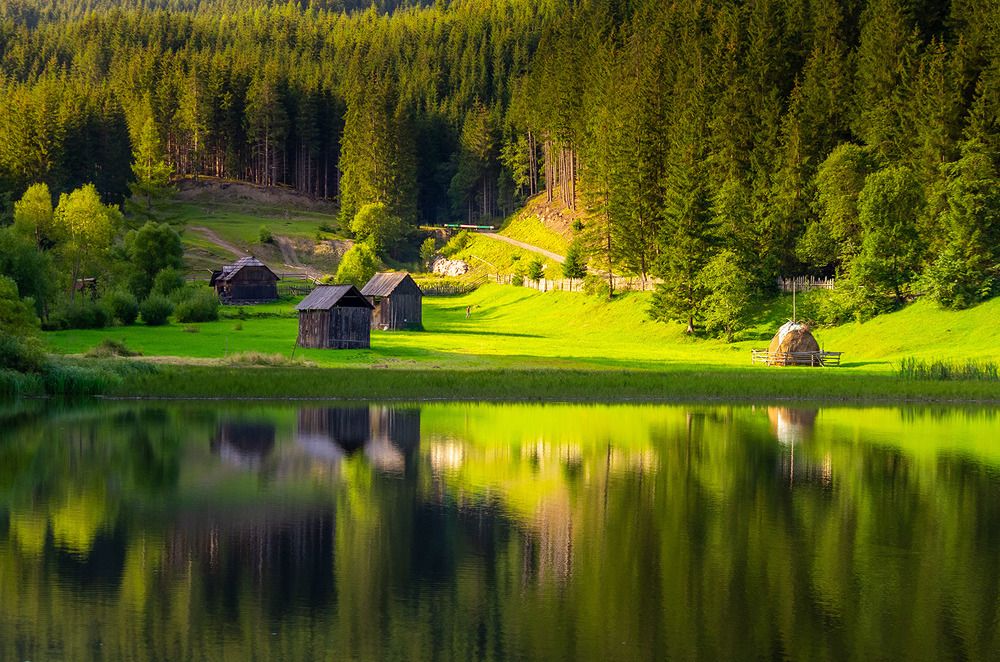 Bucovina, glimpses of nature