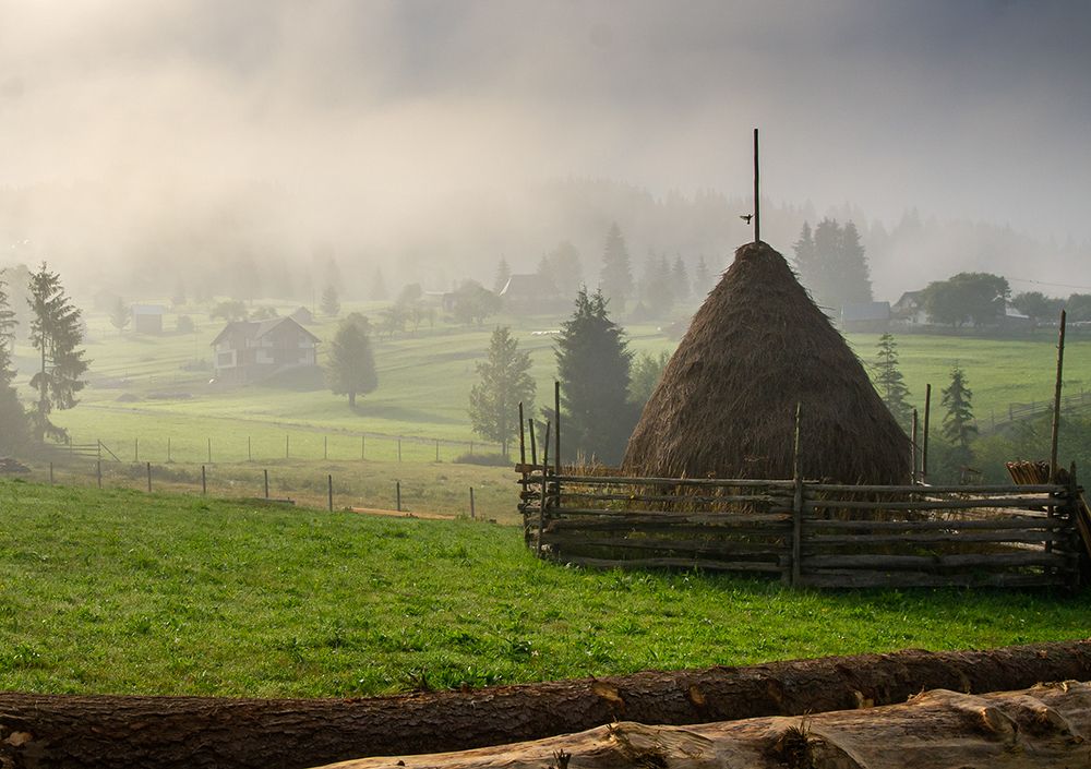 Bucovina, glimpses of nature