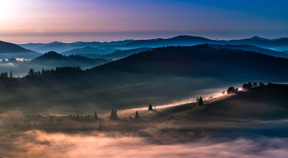 Bucovina, glimpses of nature
