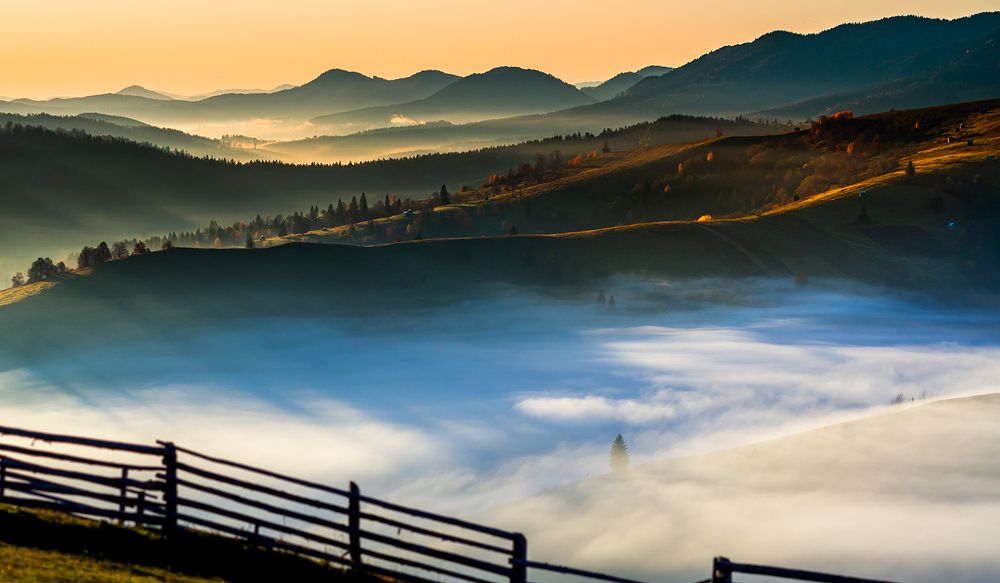 Bucovina, glimpses of nature