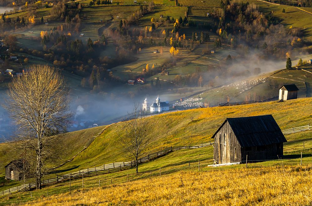 Bucovina, glimpses of nature