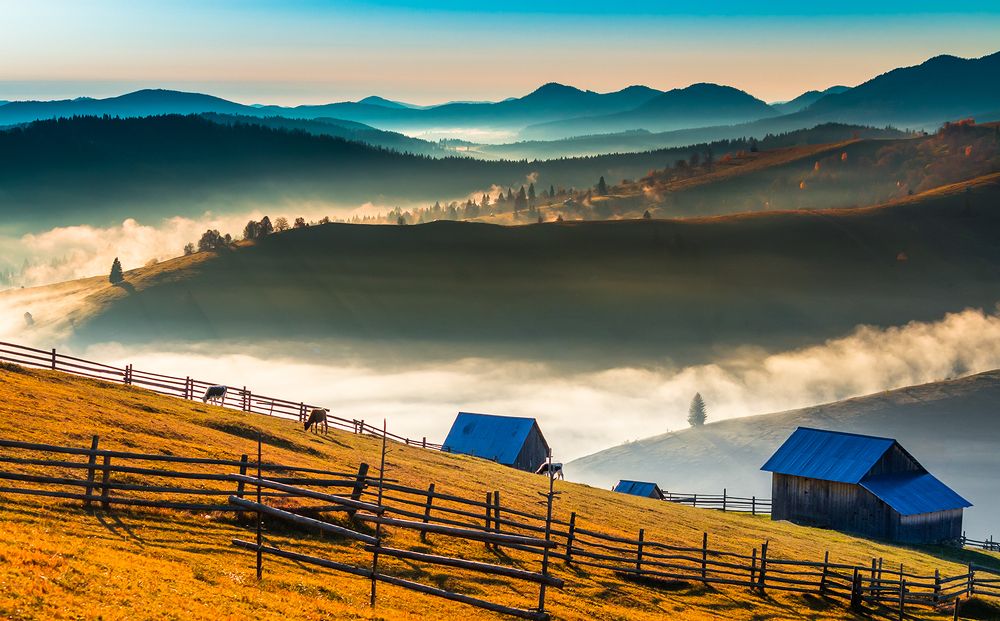 Bucovina, glimpses of nature