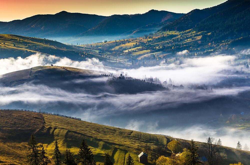 Bucovina, glimpses of nature