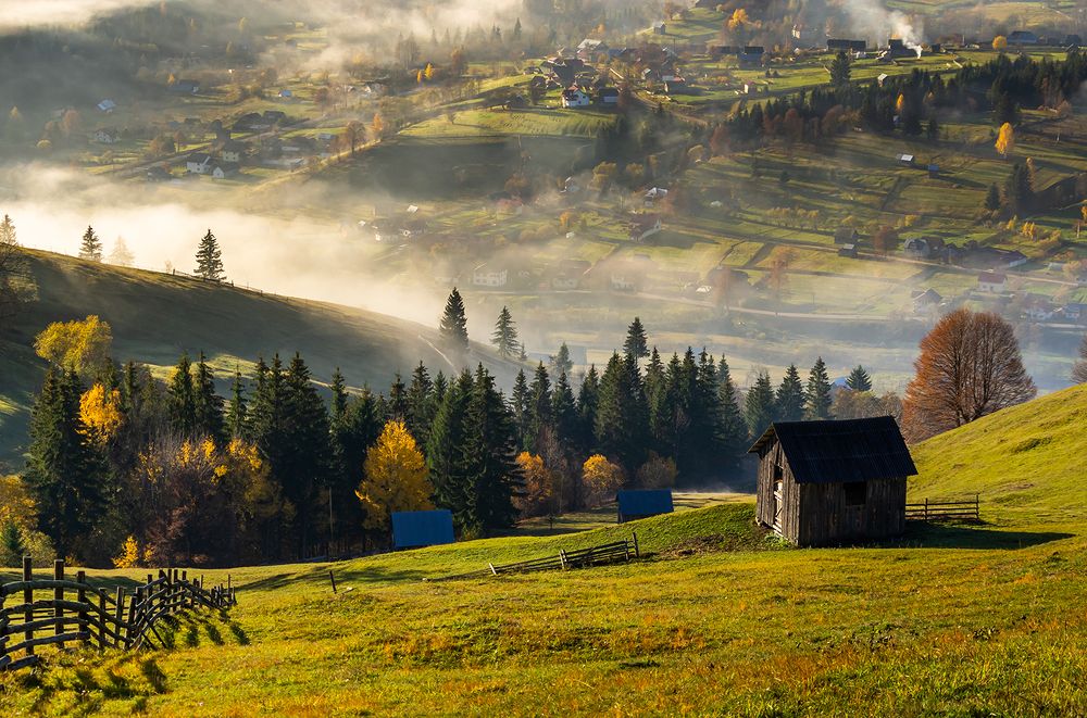 Bucovina, glimpses of nature