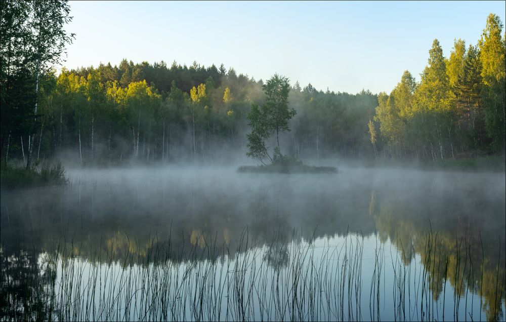 Середина лета. Утро на лесном озере.