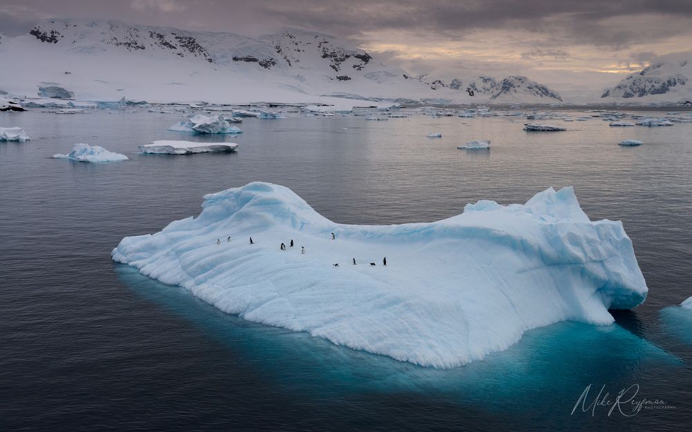 Ad&eacute;lie Penguins, Antarctica