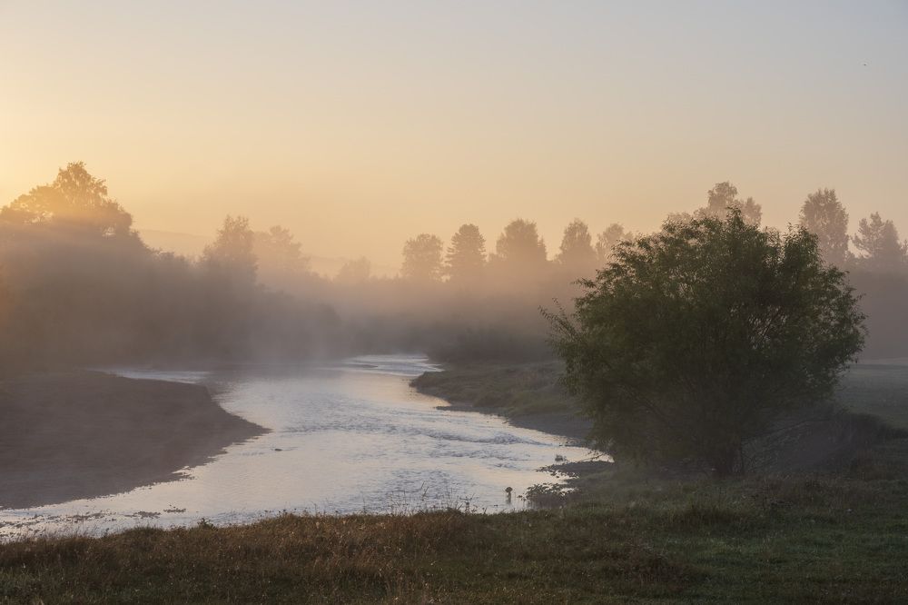 Утро на реке