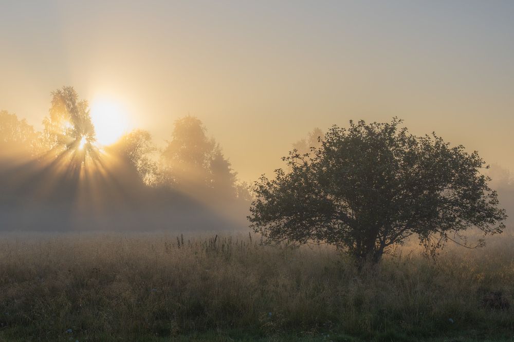 Утро на реке