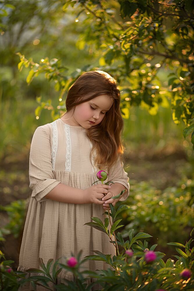 Photo 2458733