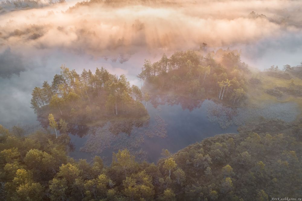 "Живопись света и тумана"