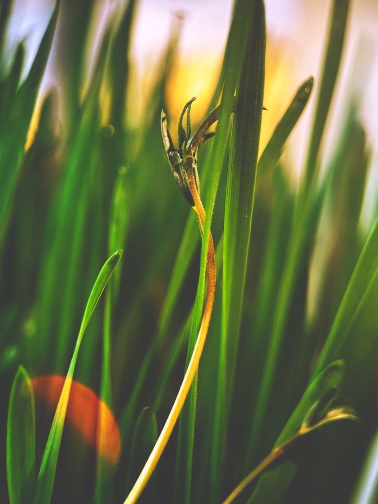 Photo 2459981