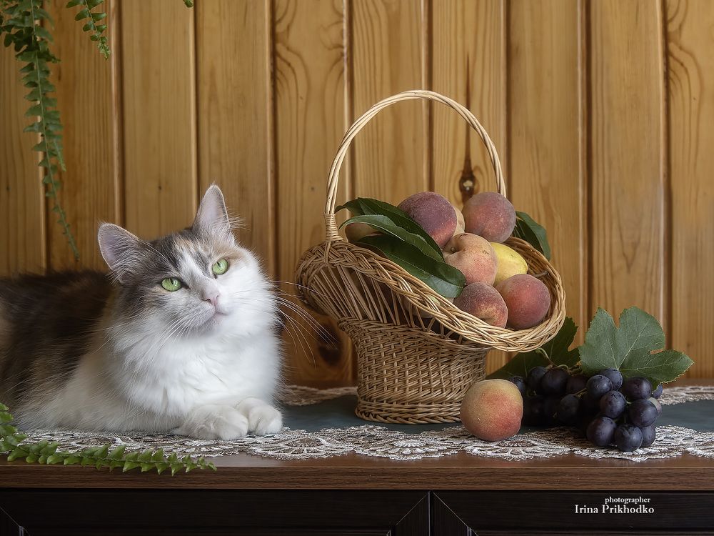 - Ну как же без меня? Это же скучно!